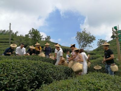 文旅之声|德化又新增加2家省级观光工厂和1家省级体育产业示范项目