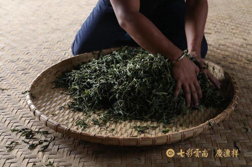 好的普洱茶毛茶工艺有哪些